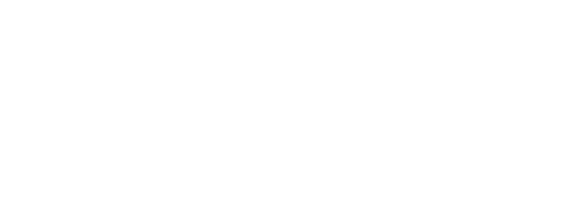 Richard Stone Project Management Blueprint